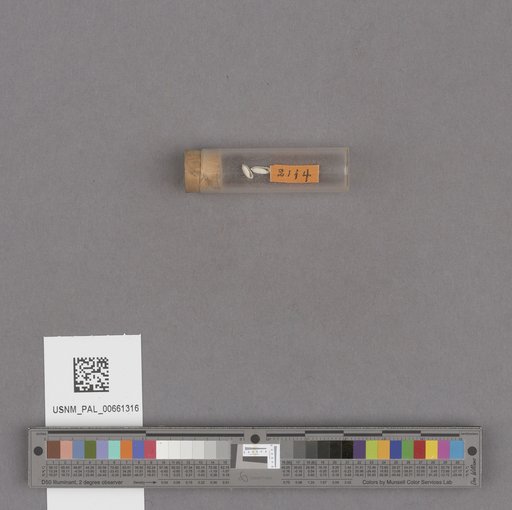 NSF ADBC EPICC TCN