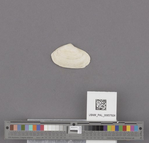 NSF ADBC EPICC TCN