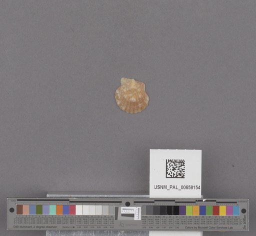 NSF ADBC EPICC TCN