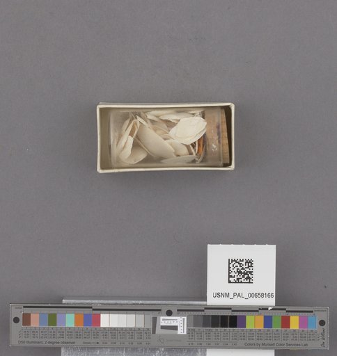 NSF ADBC EPICC TCN