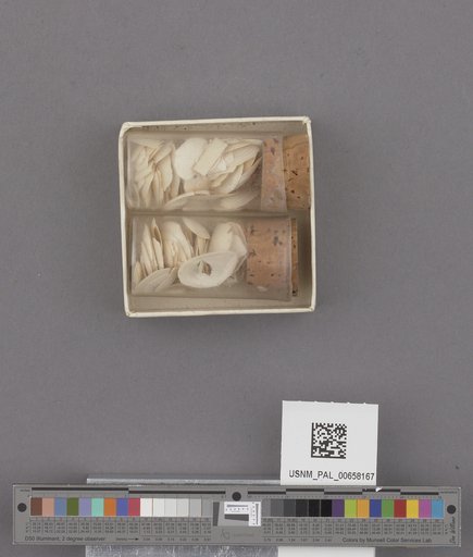 NSF ADBC EPICC TCN