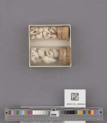 NSF ADBC EPICC TCN
