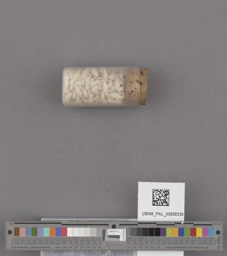 NSF ADBC EPICC TCN