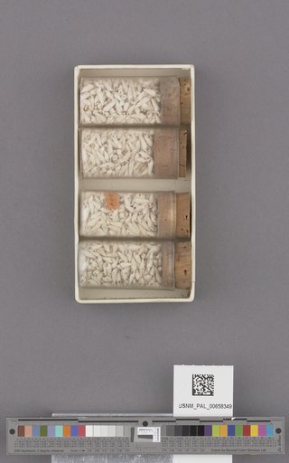 NSF ADBC EPICC TCN
