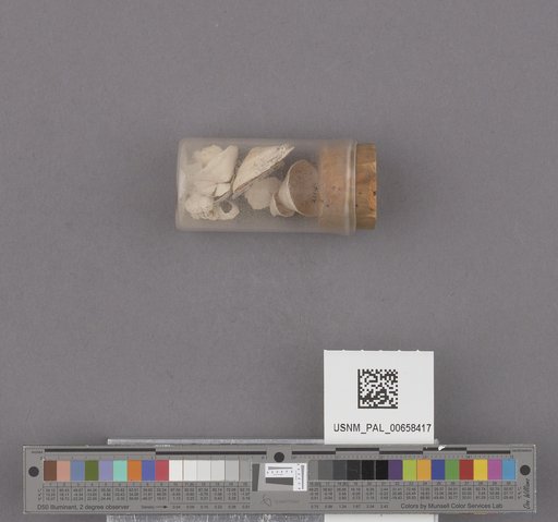 NSF ADBC EPICC TCN