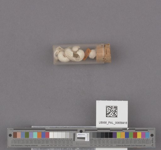 NSF ADBC EPICC TCN