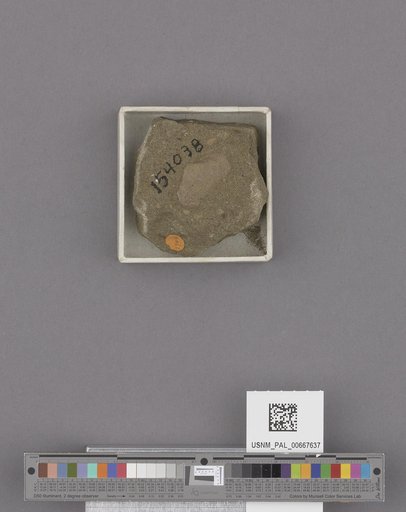 NSF ADBC EPICC TCN