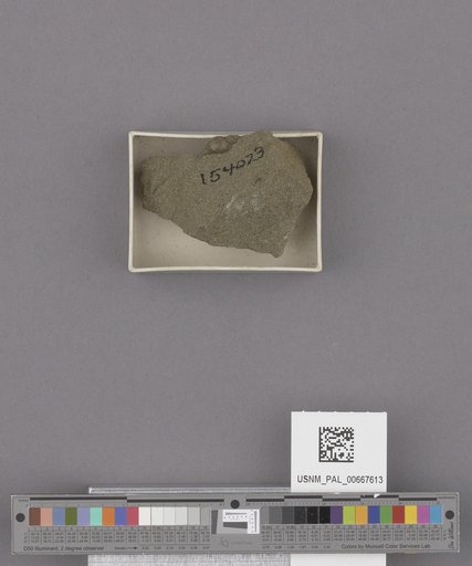 NSF ADBC EPICC TCN