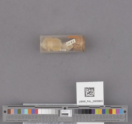NSF ADBC EPICC TCN