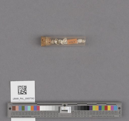 NSF ADBC EPICC TCN