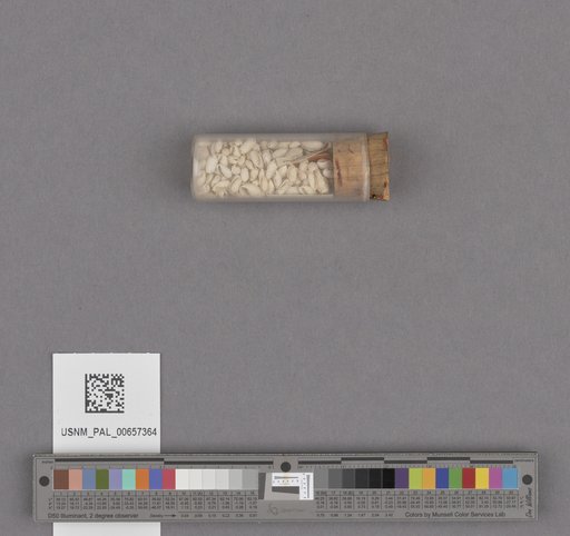 NSF ADBC EPICC TCN