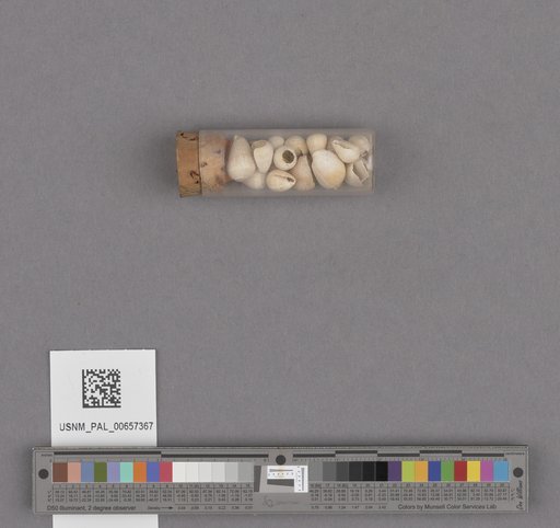 NSF ADBC EPICC TCN