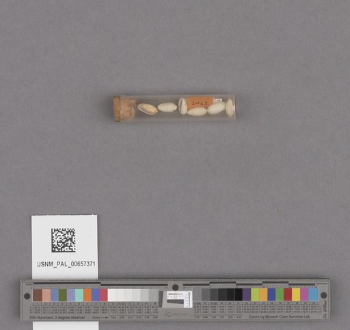 NSF ADBC EPICC TCN