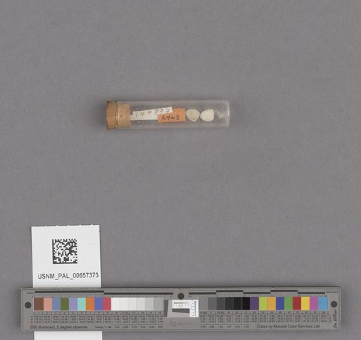 NSF ADBC EPICC TCN