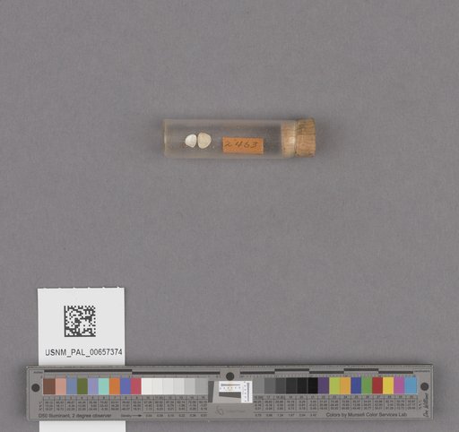 NSF ADBC EPICC TCN