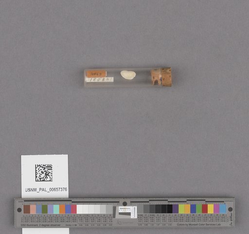 NSF ADBC EPICC TCN