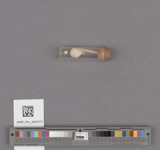NSF ADBC EPICC TCN