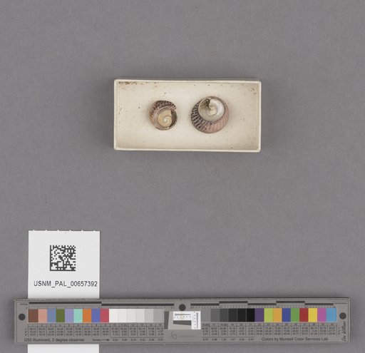 NSF ADBC EPICC TCN