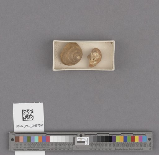NSF ADBC EPICC TCN