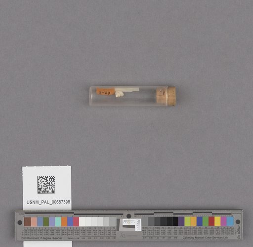 NSF ADBC EPICC TCN