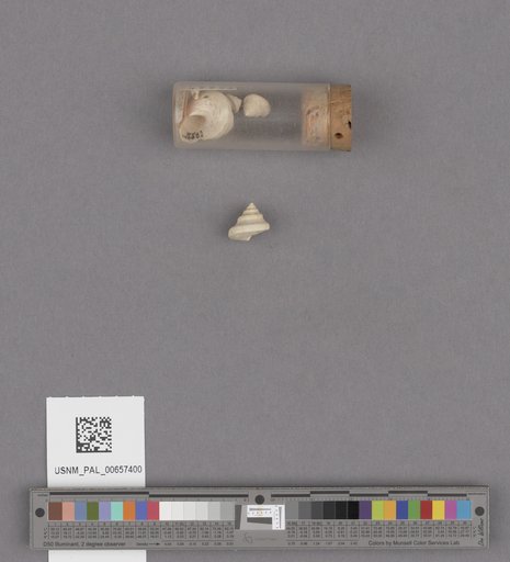 NSF ADBC EPICC TCN