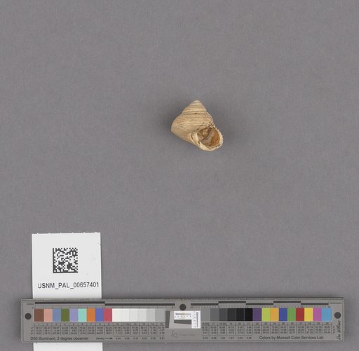 NSF ADBC EPICC TCN