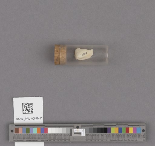 NSF ADBC EPICC TCN