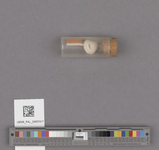 NSF ADBC EPICC TCN