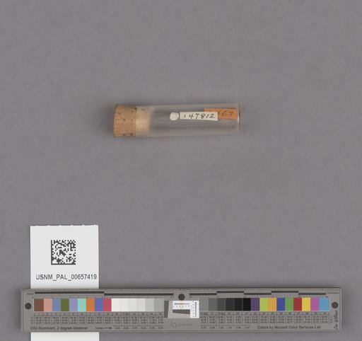 NSF ADBC EPICC TCN
