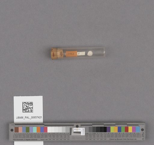 NSF ADBC EPICC TCN