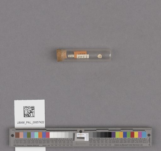 NSF ADBC EPICC TCN