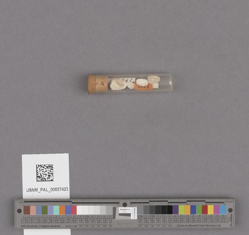 NSF ADBC EPICC TCN