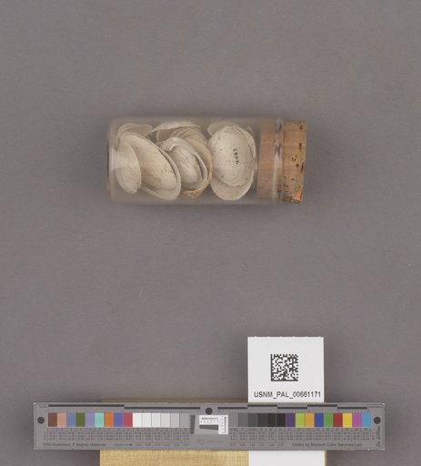 NSF ADBC EPICC TCN
