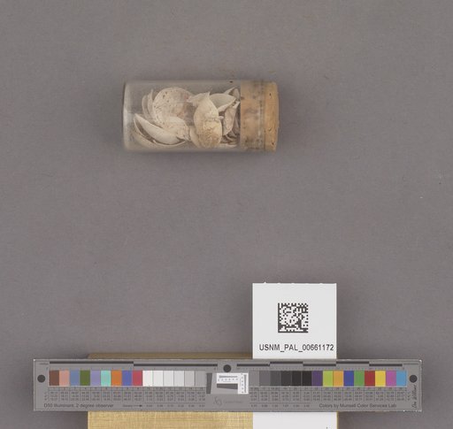 NSF ADBC EPICC TCN