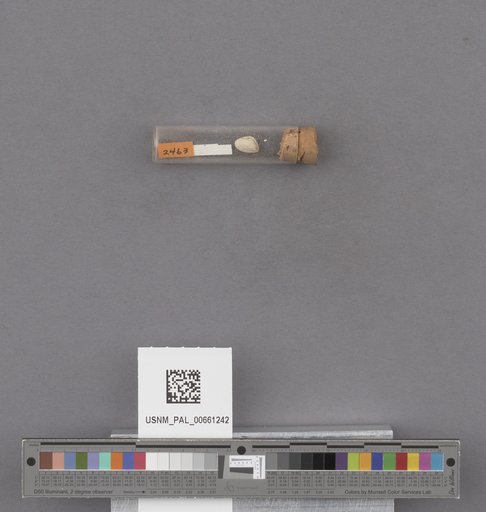 NSF ADBC EPICC TCN