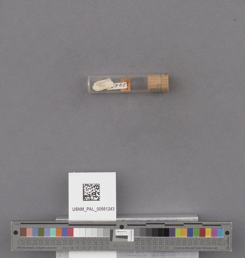 NSF ADBC EPICC TCN