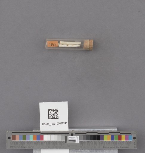 NSF ADBC EPICC TCN