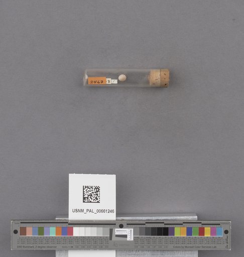 NSF ADBC EPICC TCN