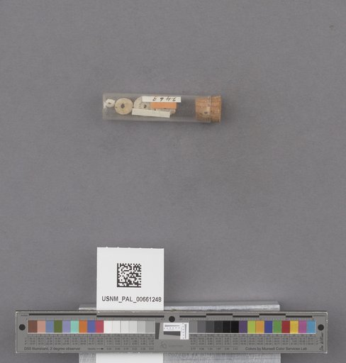 NSF ADBC EPICC TCN