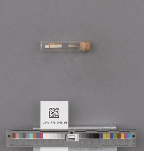 NSF ADBC EPICC TCN