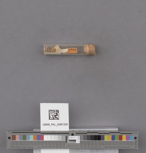 NSF ADBC EPICC TCN
