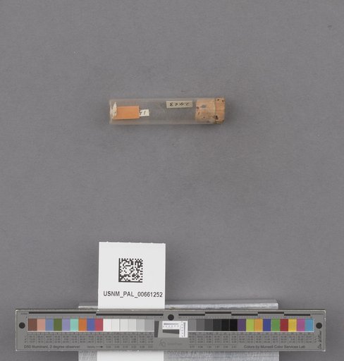 NSF ADBC EPICC TCN