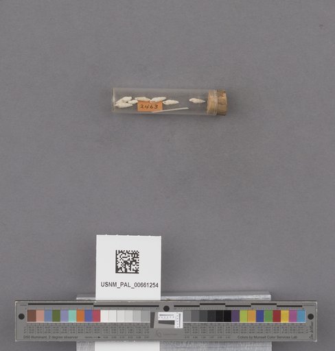 NSF ADBC EPICC TCN