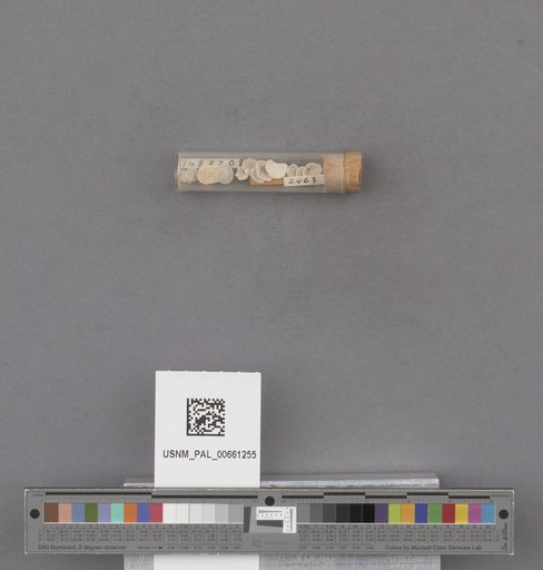 NSF ADBC EPICC TCN