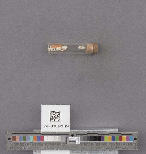NSF ADBC EPICC TCN