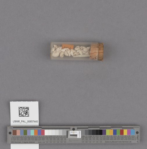 NSF ADBC EPICC TCN