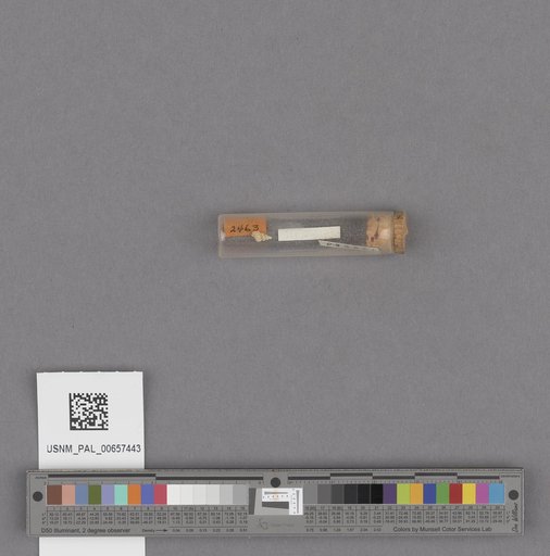 NSF ADBC EPICC TCN