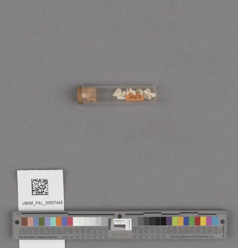 NSF ADBC EPICC TCN