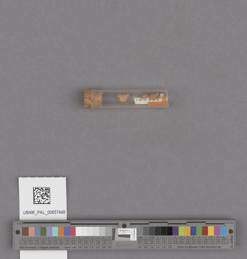 NSF ADBC EPICC TCN