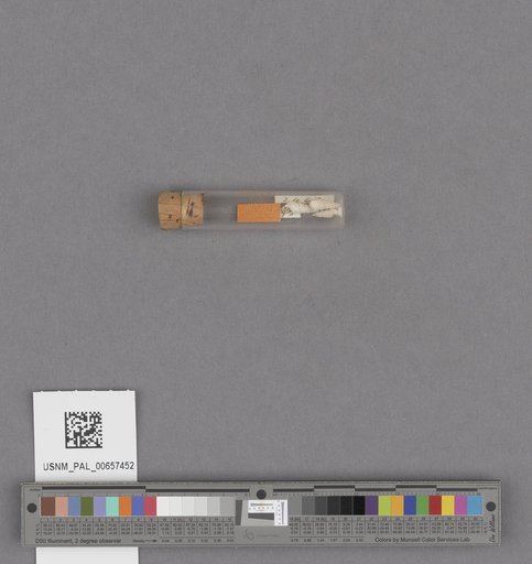 NSF ADBC EPICC TCN